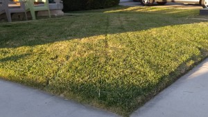 lawn mowing services in Pleasant Grove, UT