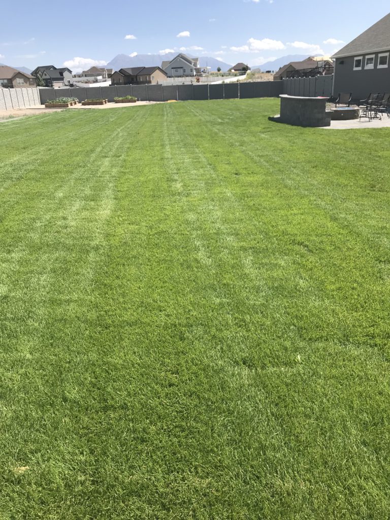 Lawn Mowing Company in Lehi, UT