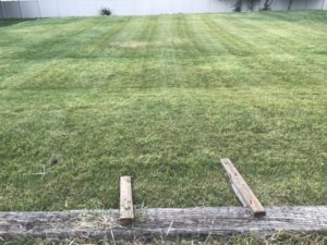 nice big yard with long clean lawn mowing lines in Eagle Mountain, UT