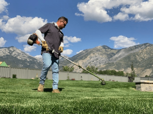 Landscape Trimming Services