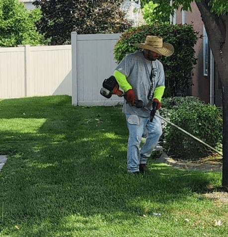 Trimming