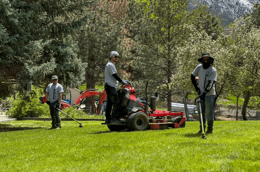 Lehi Lawn Mowing Services