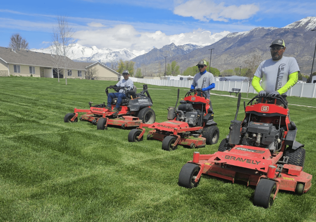 Commercial Landscape Maintenance