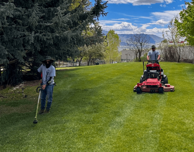 LAWN MOWING COMPANY IN AMERICAN FORK, UT