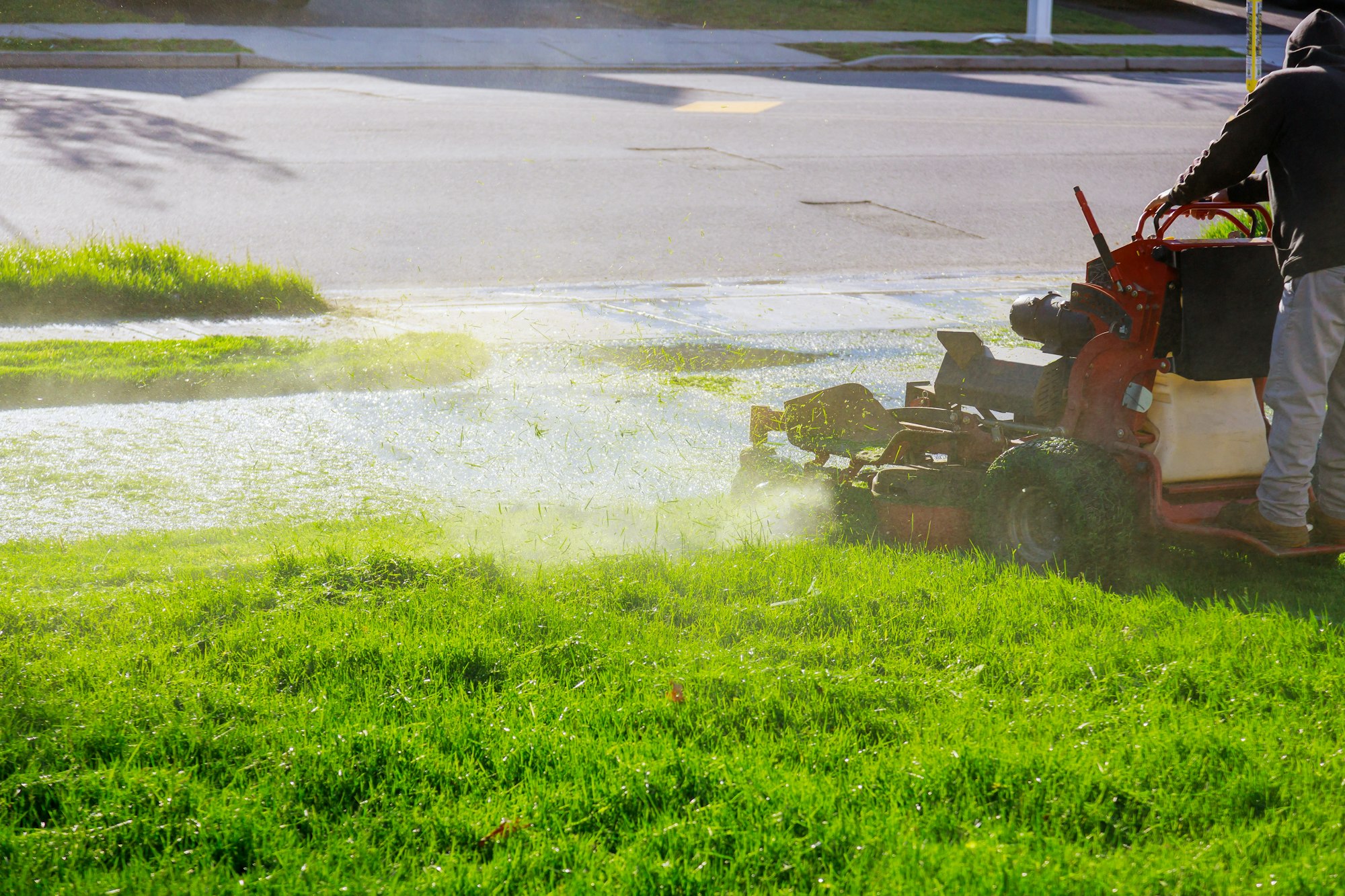 Weed Management