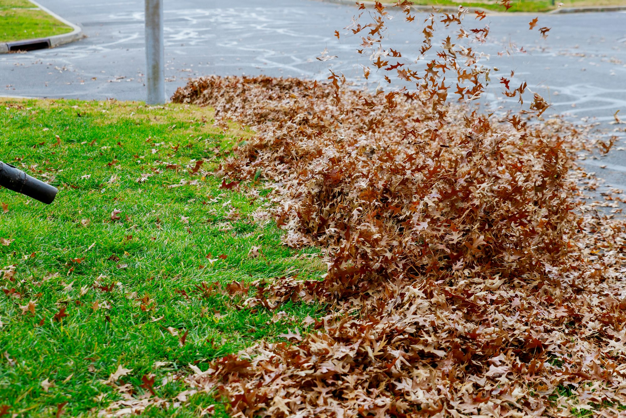 Autumn leaves on pavement and broom fall leaves with rake