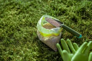 Fertilizer and working gloves on the grass