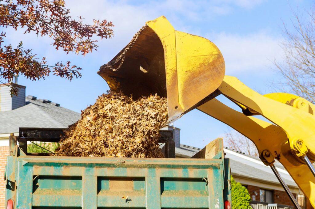 It is a routine practice in autumn when municipal workers remove fallen leaves using an excavator