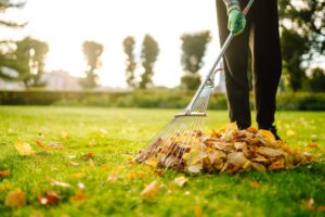 Removal of leaves in autumn garden. Rake, pile of fallen leaves on lawn in autumn park. Volunteering