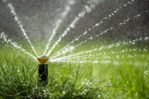 Sprinkler in action watering grass