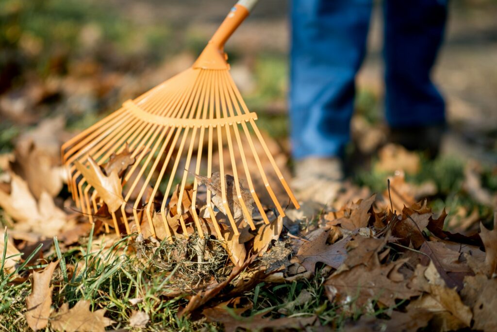 Sweeping leaves with orange rake