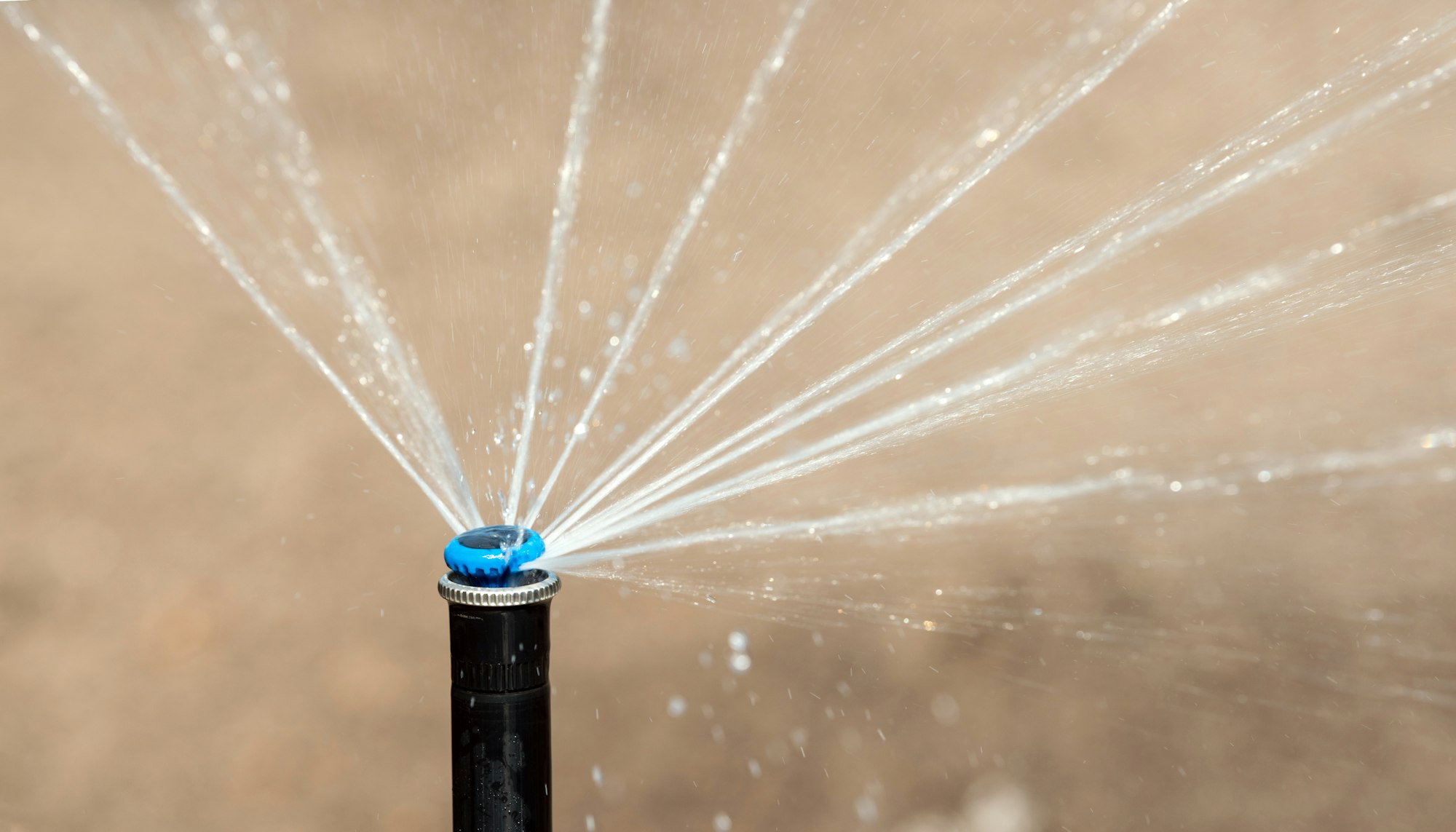 Sprinkler in action watering