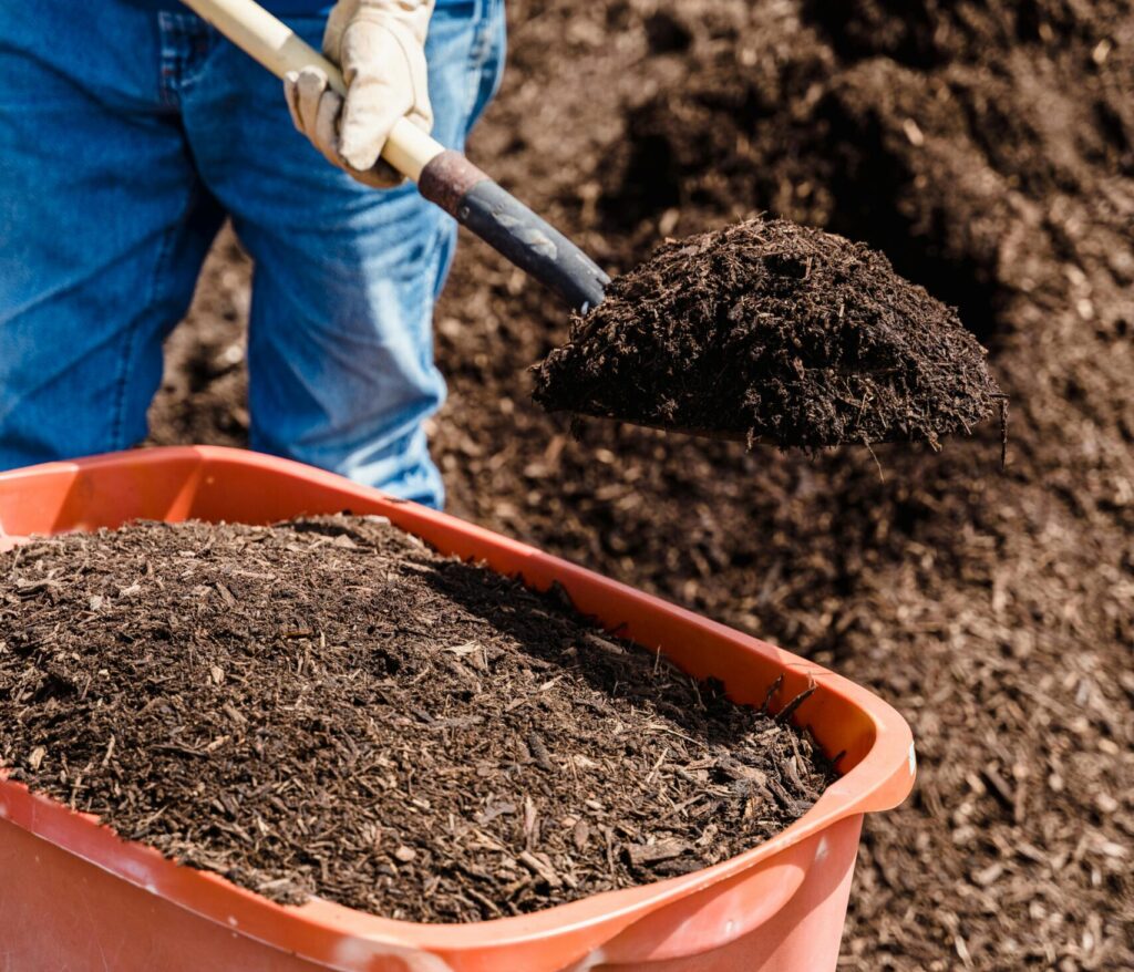 shoveling mulch