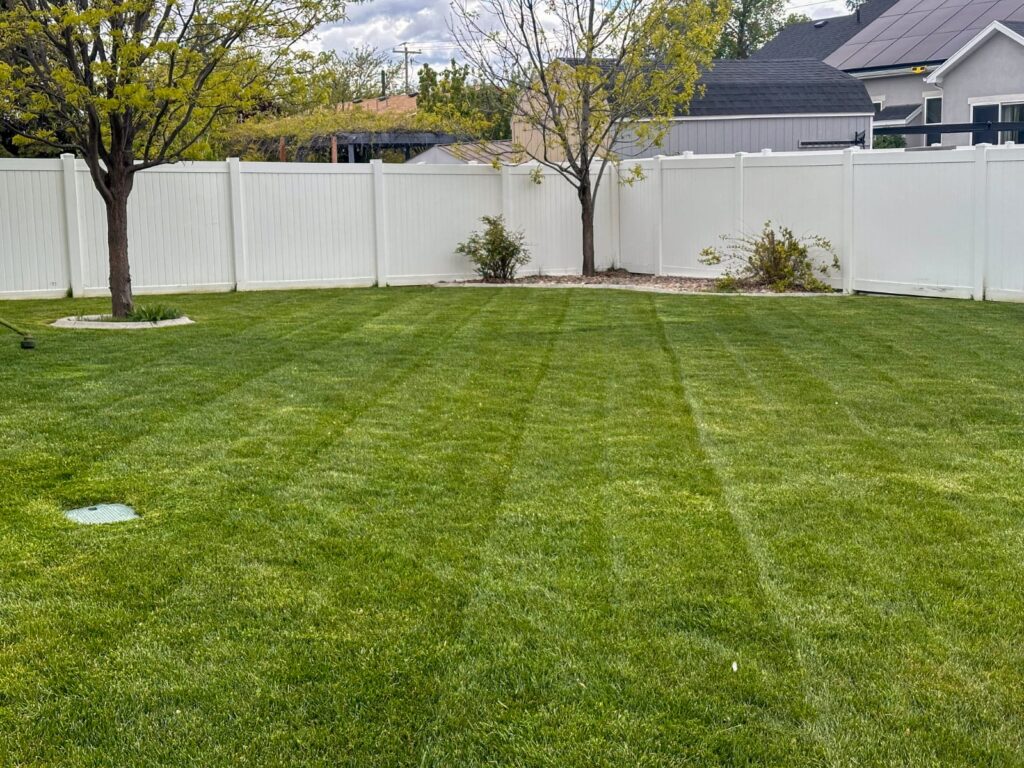 lawn fertilization in Utah County