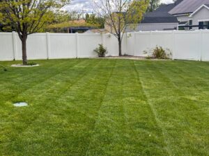 lawn fertilization in Utah County