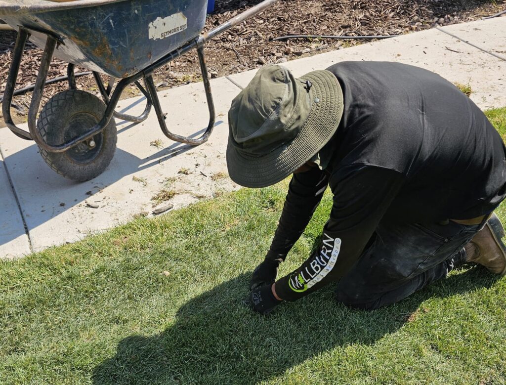 lawncare and fertilization in Utah County