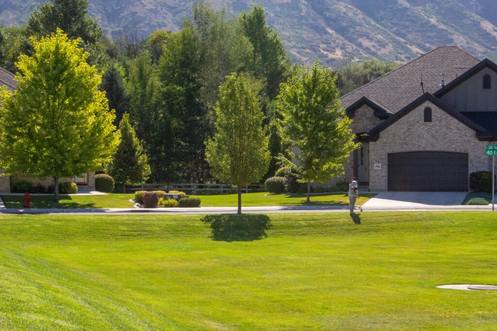 seasonal yard cleanup services in Utah County